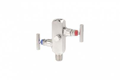 2 Way - Gauge Type Manifold Valves